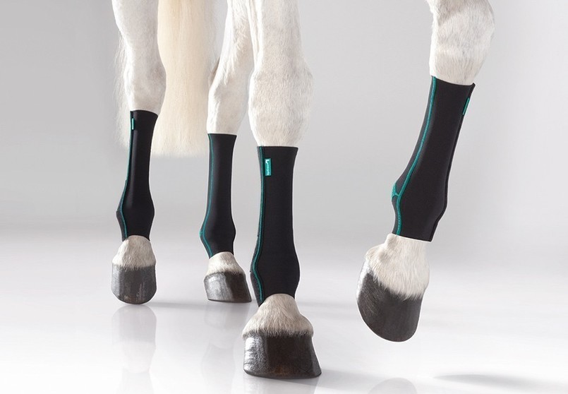 Equibody Equicrown paard compressiebandage einschuss stalbenen mld manuele lymfedrainage paarden